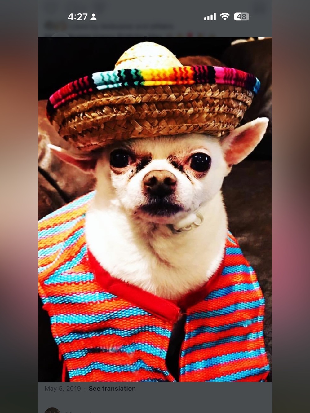 Mexican Sombrero Dog Costume – Poncho + Hat